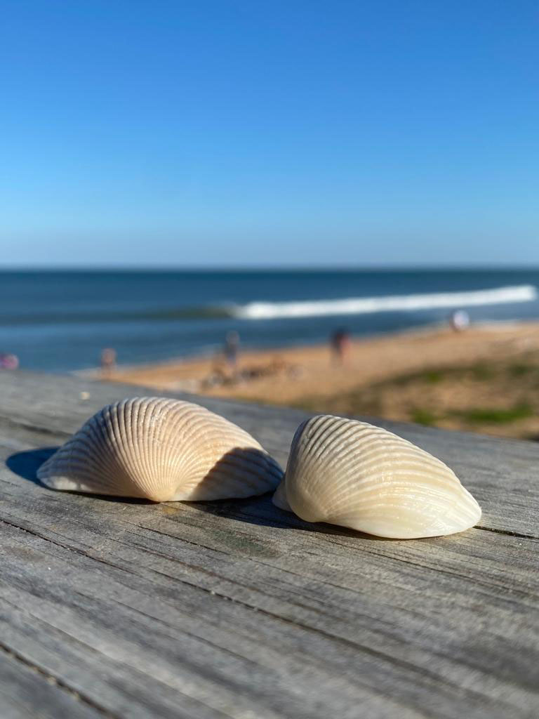 Flagler Beach, Florida
